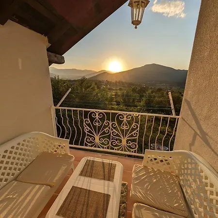 Holiday Dmd Holiday home